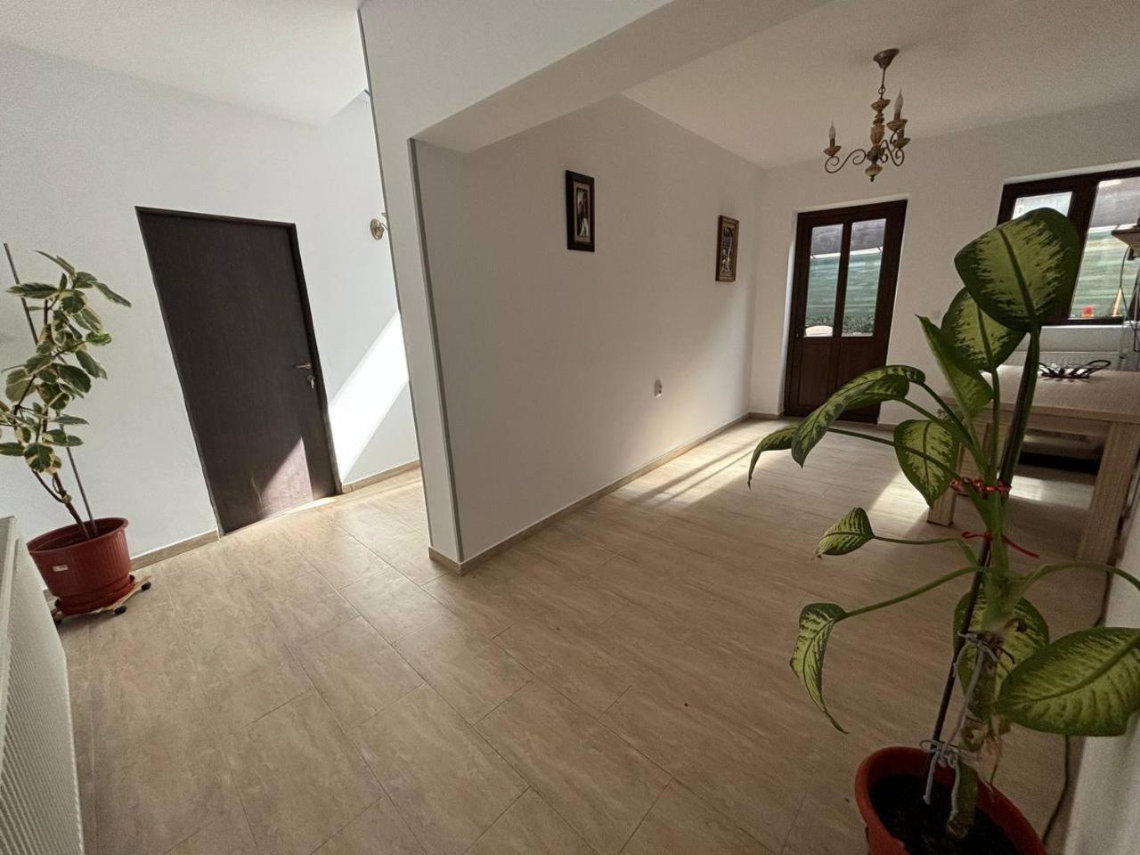 Alexander Residence Brăila Exterior foto